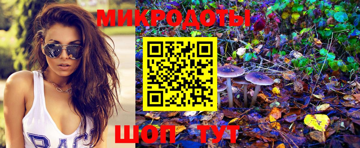 Хабаровск  Псилоцибиновые грибы Psilocybe  Вход с VPN 